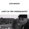 Liam Sweeney - Lost In the Marshlands - Single